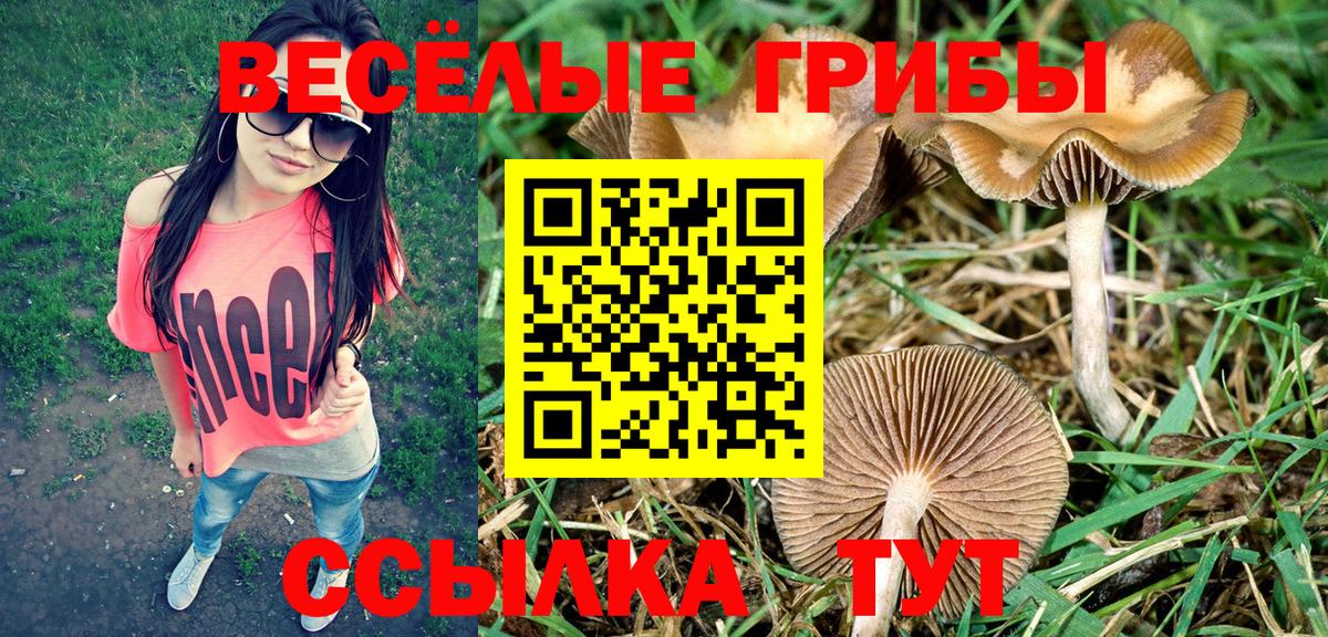 Псилоцибиновые грибы прущие грибы Людиново