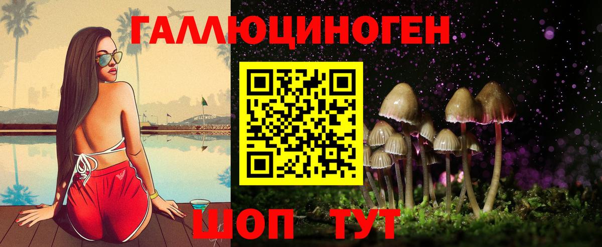 где найти   Вход с VPN  Людиново  Галлюциногенные грибы GOLDEN TEACHER 